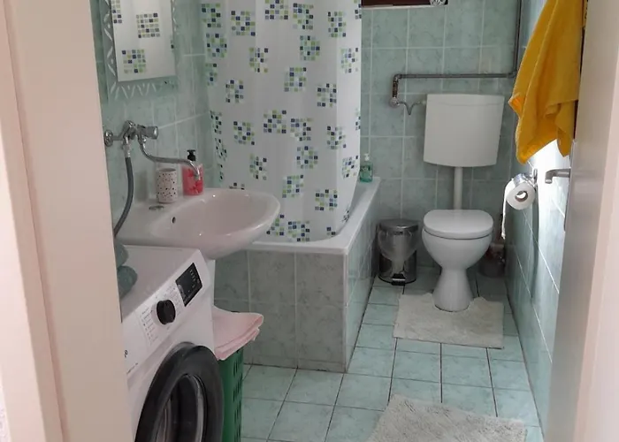 Daire Lana Pijavice Jajce