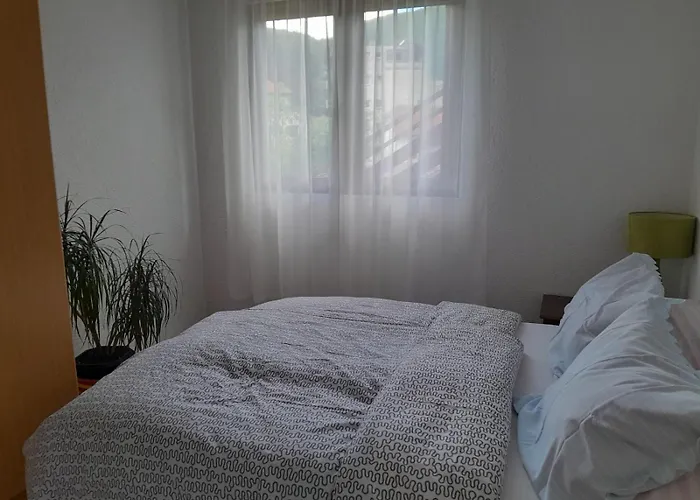 Daire Lana Pijavice Jajce